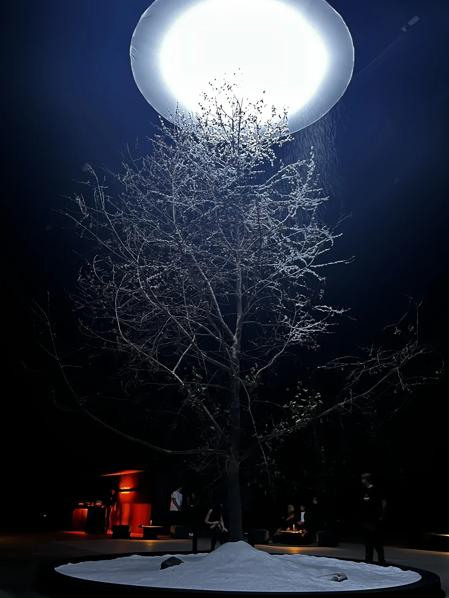 The snow-covered tree under a single overhead light