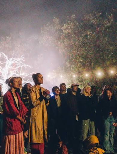 The crowd under the trees at Land of the Twisted Tree